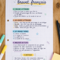 Un étudiant utilisant une fiche de révision pour le brevet de français en 2026.