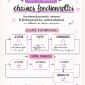 Fiche de révision sur les chaînes fonctionnelles en technologie pour les élèves de 3ème.