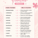 Fiche de révision de français pour le brevet, avec des notes bien organisées.