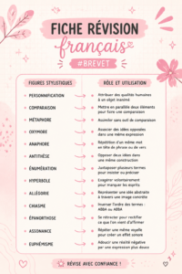 Fiche de révision de français pour le brevet, avec des notes bien organisées.