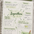 Fiche de révision en carte mentale sur les logarithmes, bien structurée et colorée.