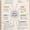 Un livre ouvert sur un bureau avec des mots écrits à la main, symbolisant la nature des mots dans l'apprentissage.
