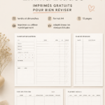 Exemple d'imprimables éducatifs d'Emma Studies pour les révisions scolaires