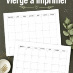 Modèle de calendrier vierge à imprimer pour une meilleure organisation familiale.