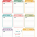 Une personne utilisant un planner harmonisé pour organiser sa maison avec des notes et des couleurs.