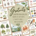 Enfant utilisant des imprimés éducatifs sur la nature à la maison.
